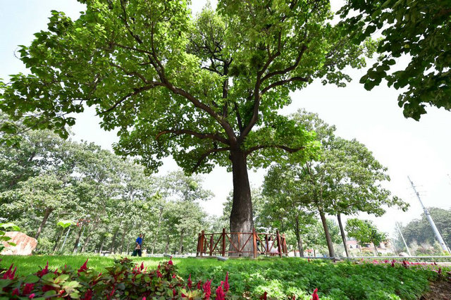 Tourists walk under the 