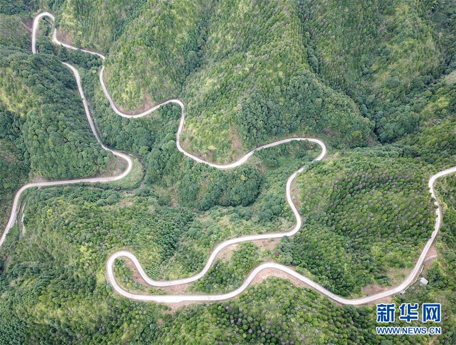 （脱贫攻坚）（2）决战贫困——完善路网这五年