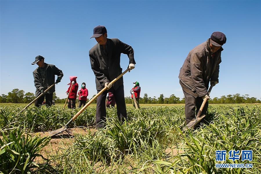 (Xinhua All Media Headline · Graphic Interaction) (2) In the early summer, visit the new thing of the industry in the footsteps of the General Secretary