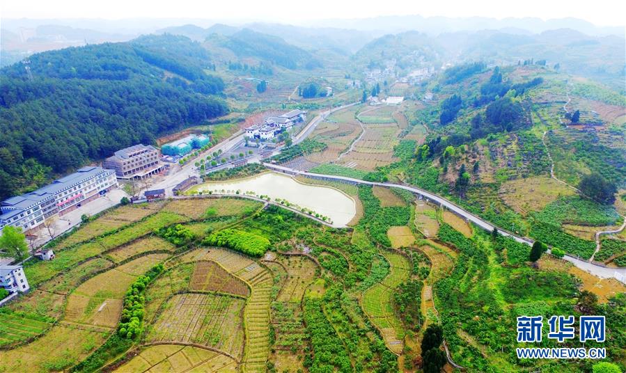 (Xinhua All Media Headline · Graphic Interaction) (9) In the early summer, visit the new business of industrial poverty alleviation with the footsteps of the General Secretary