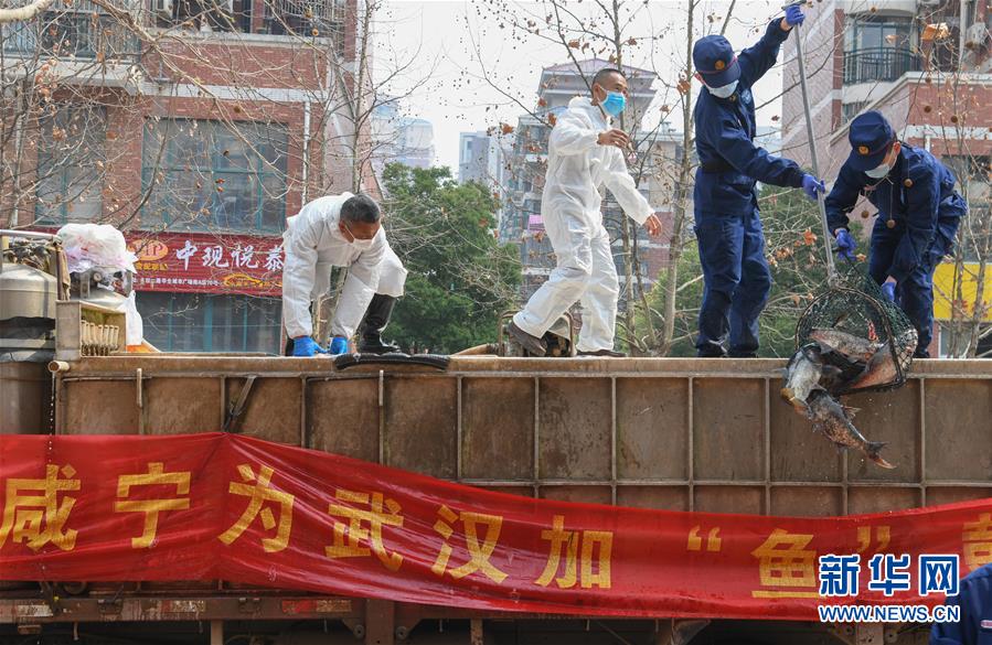 (Xinhua All-Media Headlines·Interactive Pictures and Texts) (11) Forward regardless of the weather - written at a time when the national epidemic prevention and control battle has achieved major strategic results