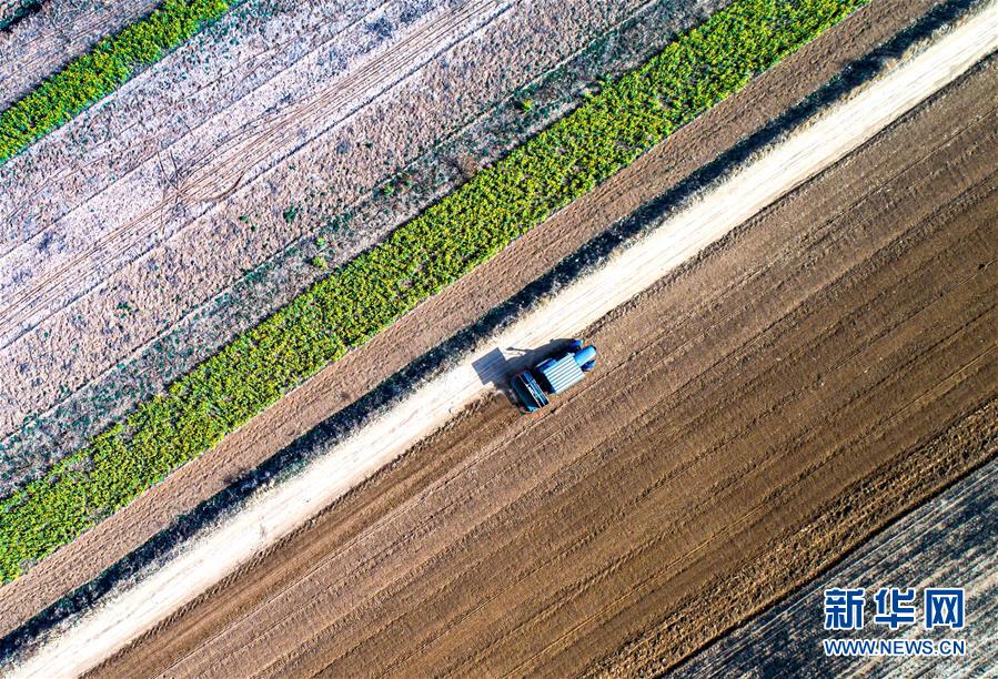 (Xinhua All-Media Headlines·Interactive Pictures and Texts) (20) Forward regardless of the weather - written at a time when the national epidemic prevention and control battle has achieved major strategic results