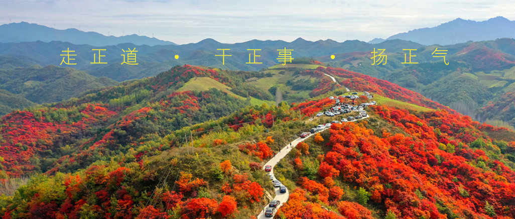 9c6143d8dcaa345dfab6b3830ba6a86