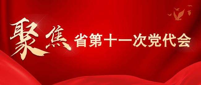 学习贯彻中国共产党河南省第十一次代表大会精神专题宣讲菜单