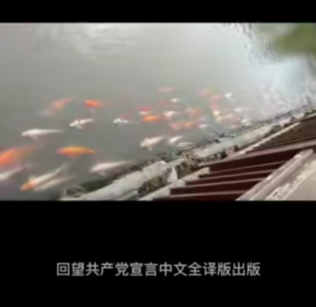 微信图片_20220728152257