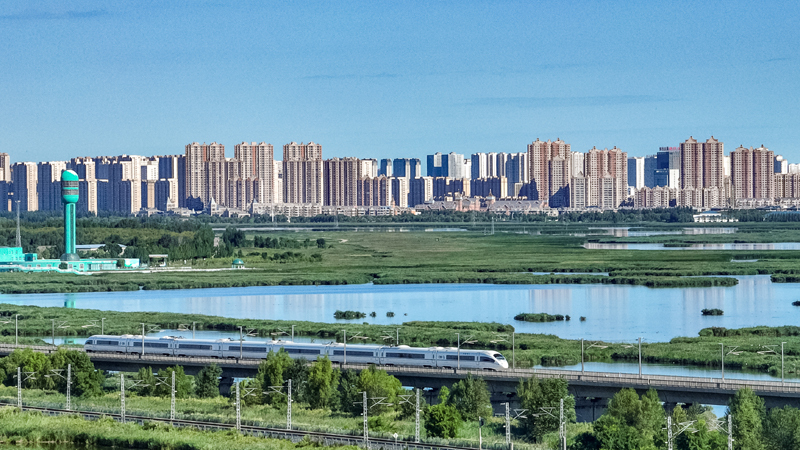 2025年8月17日，一列動車組列車駛過大慶東站。