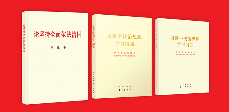 习近平法治思想