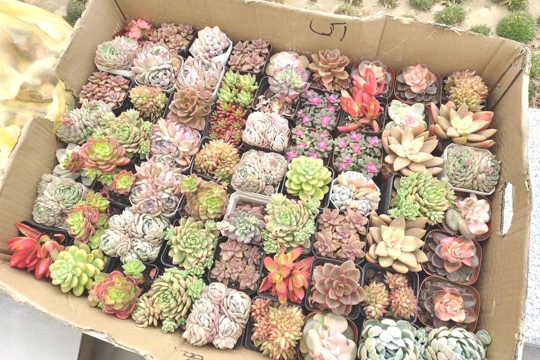 微信图片_20250314185716