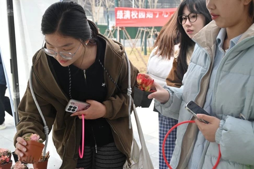 微信图片_20250314191140