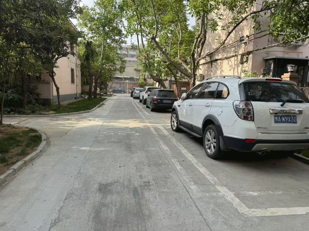 动图2