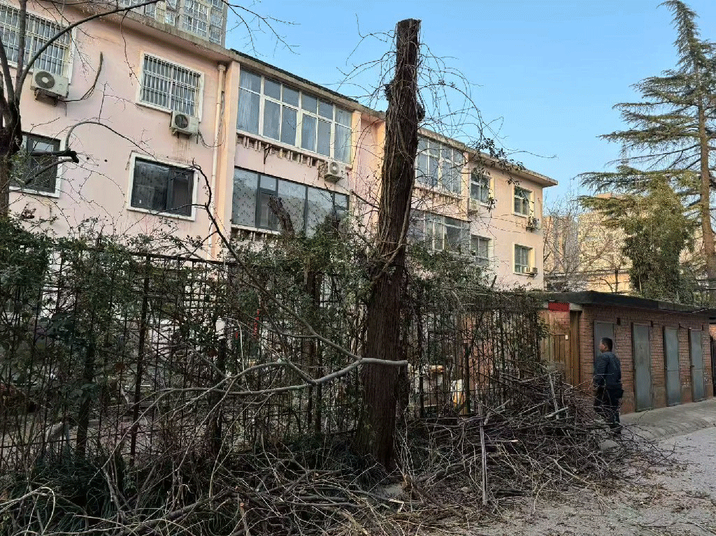 动图3