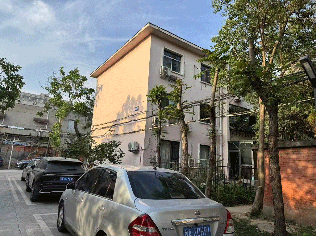动图4