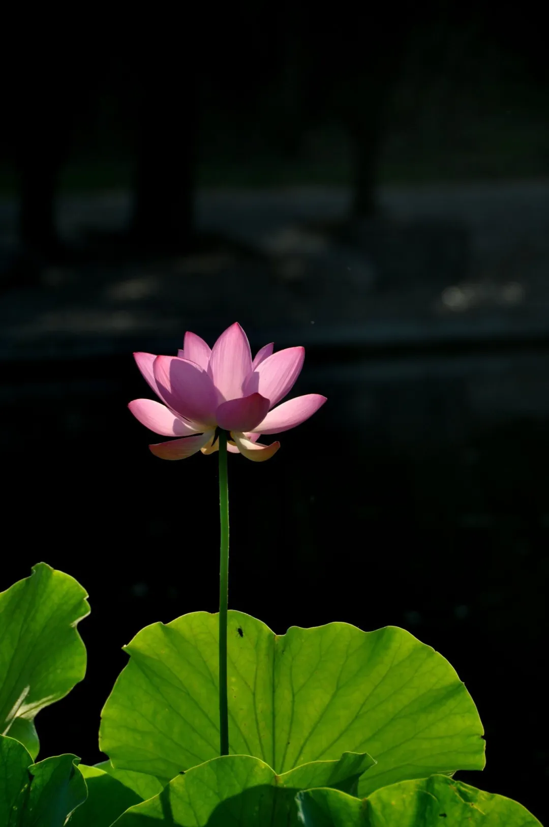 图片 10