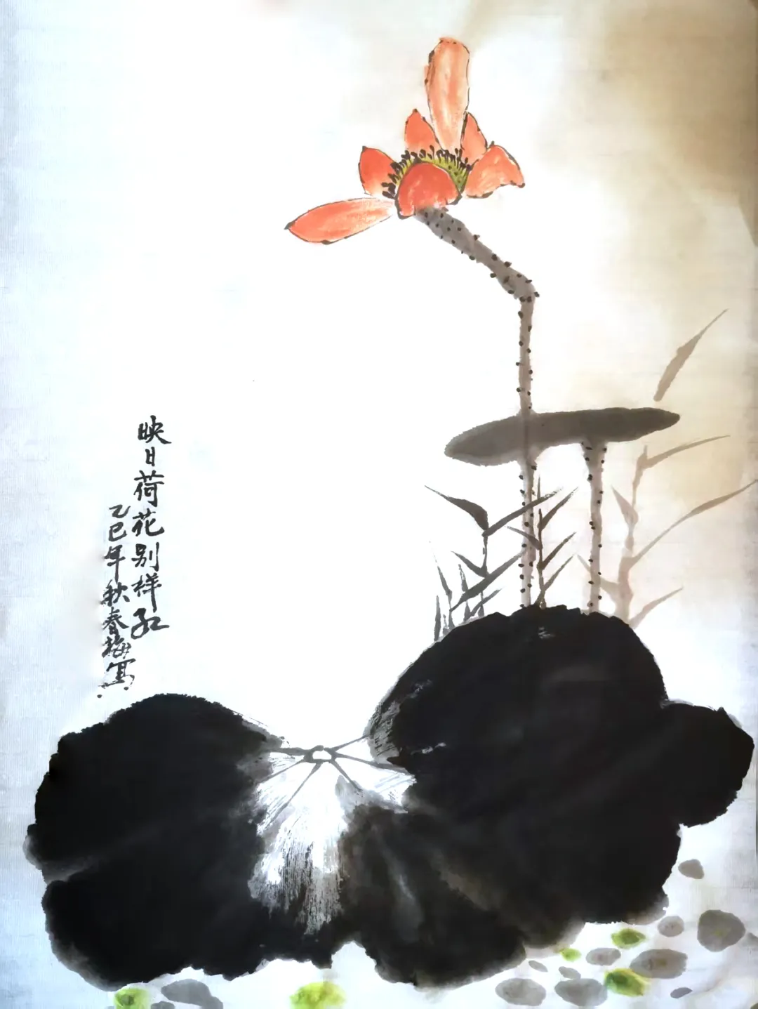 图片 9