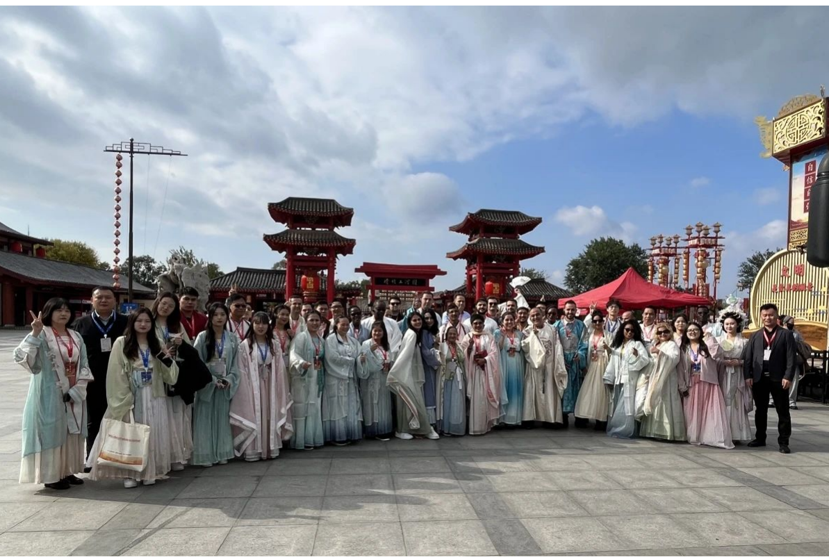 图片15