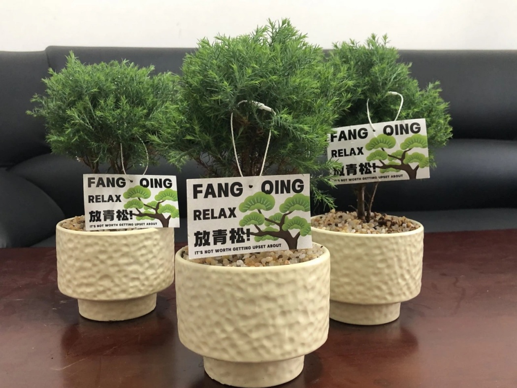 微信图片_20250506115208_副本