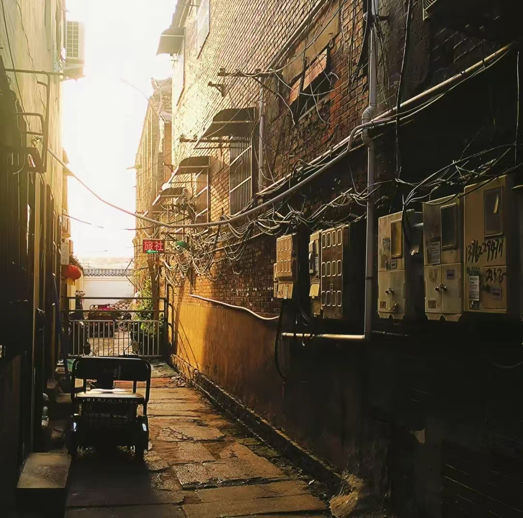 图片15