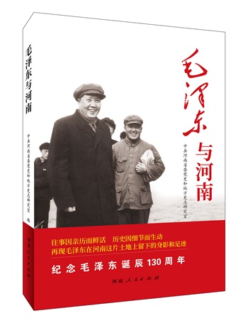图片11
