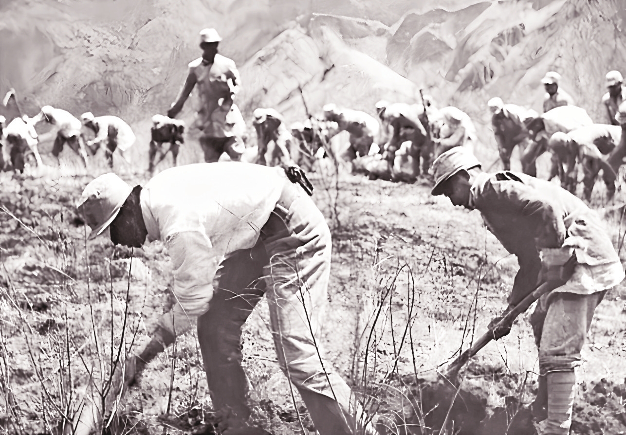 0b3c351eb01534290a9d3540b16b7eb9-o