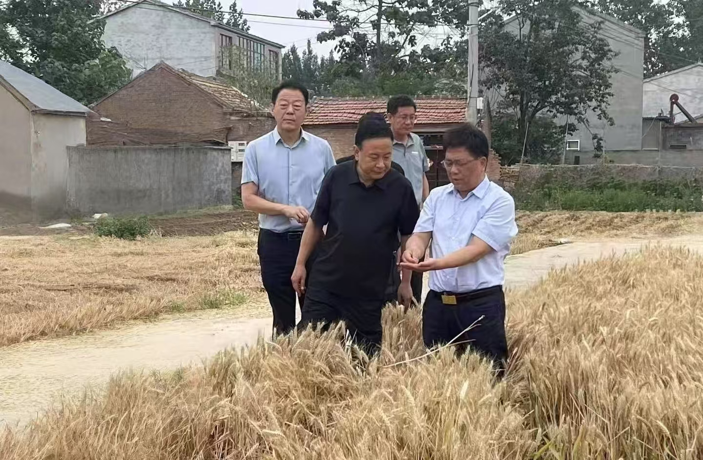微信图片_20250603152943