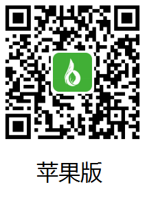 苹果