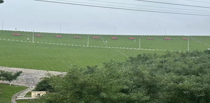图片7