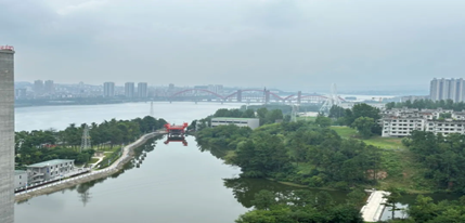 图片10