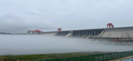 图片11