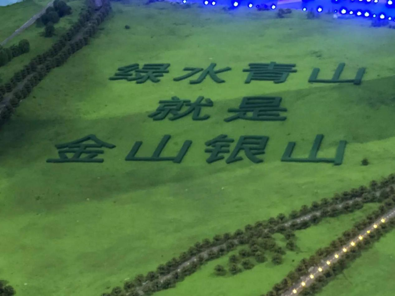 图片15