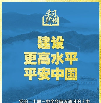 領(lǐng)悟“七個(gè)聚焦”：建設(shè)更高水平平安中國