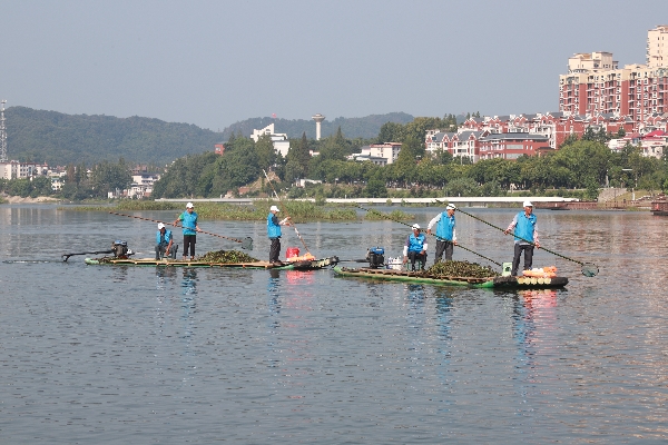 志愿者開展護(hù)河行動(dòng)_副本