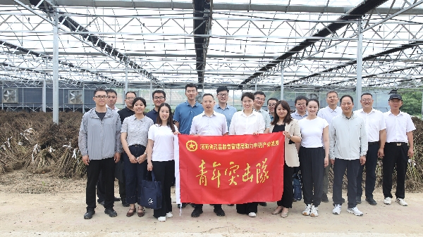 青年突击队一行深入羚锐中药材示范基地颠茄草收割现场_副本