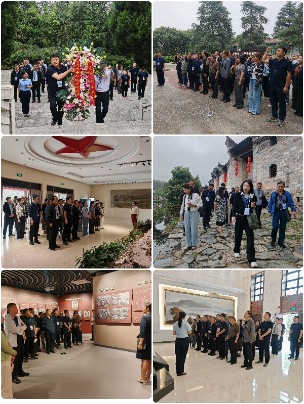 综合图片1_副本