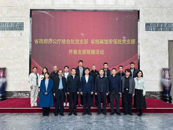 档案馆主题党日活动_副本_副本