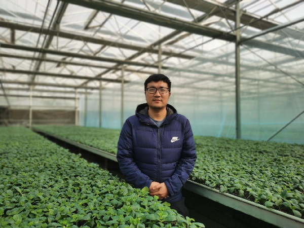 图片20_副本