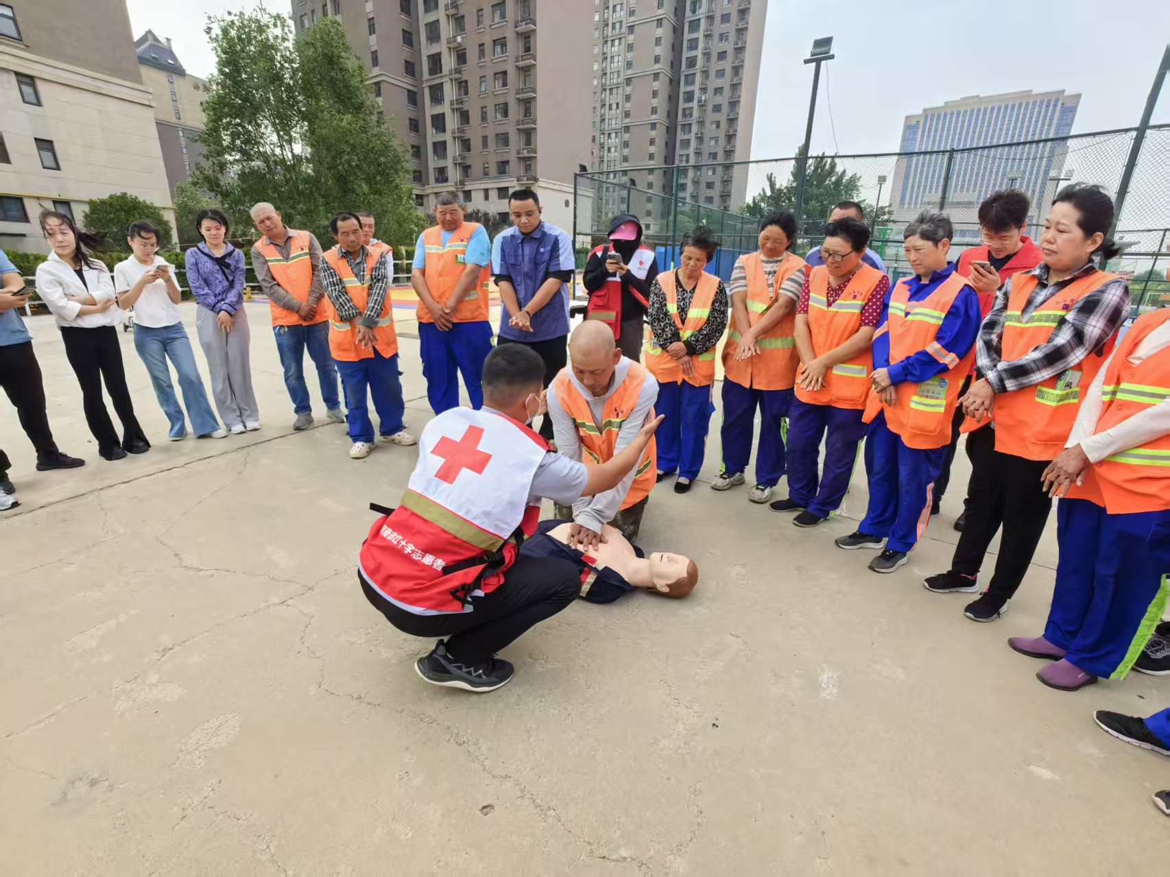 图片1
