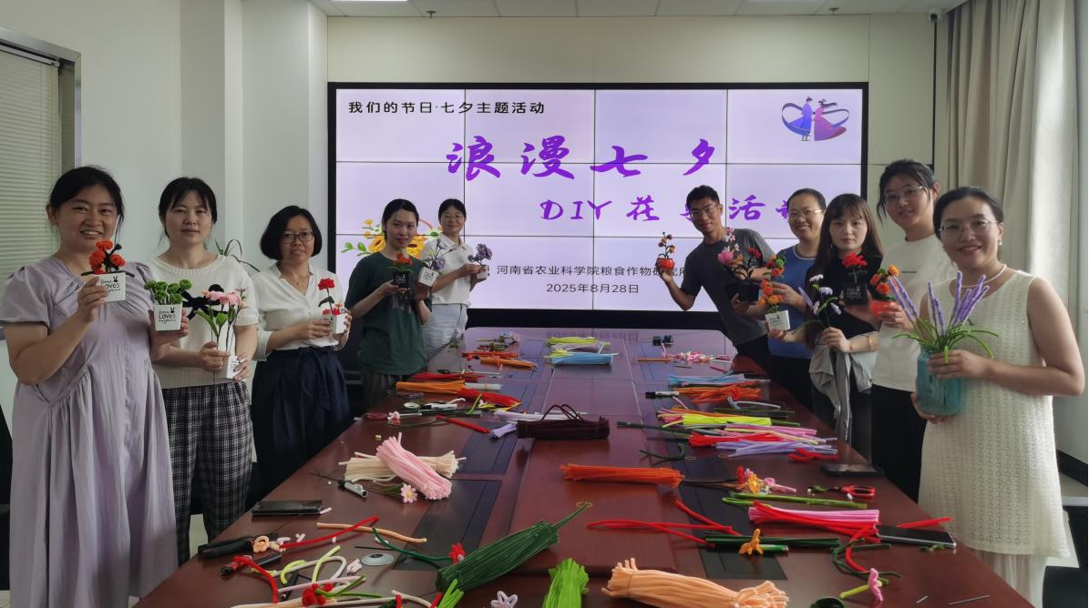 图片5