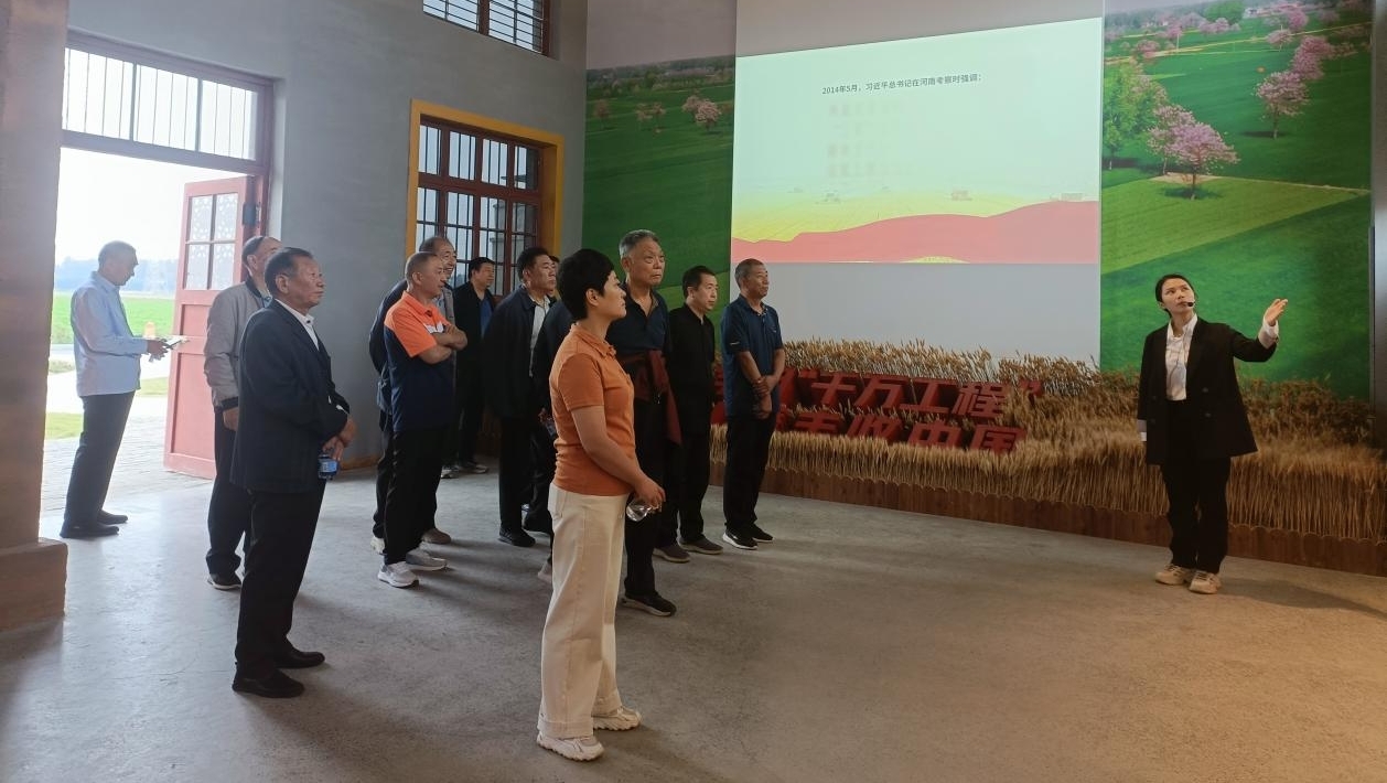 图片3