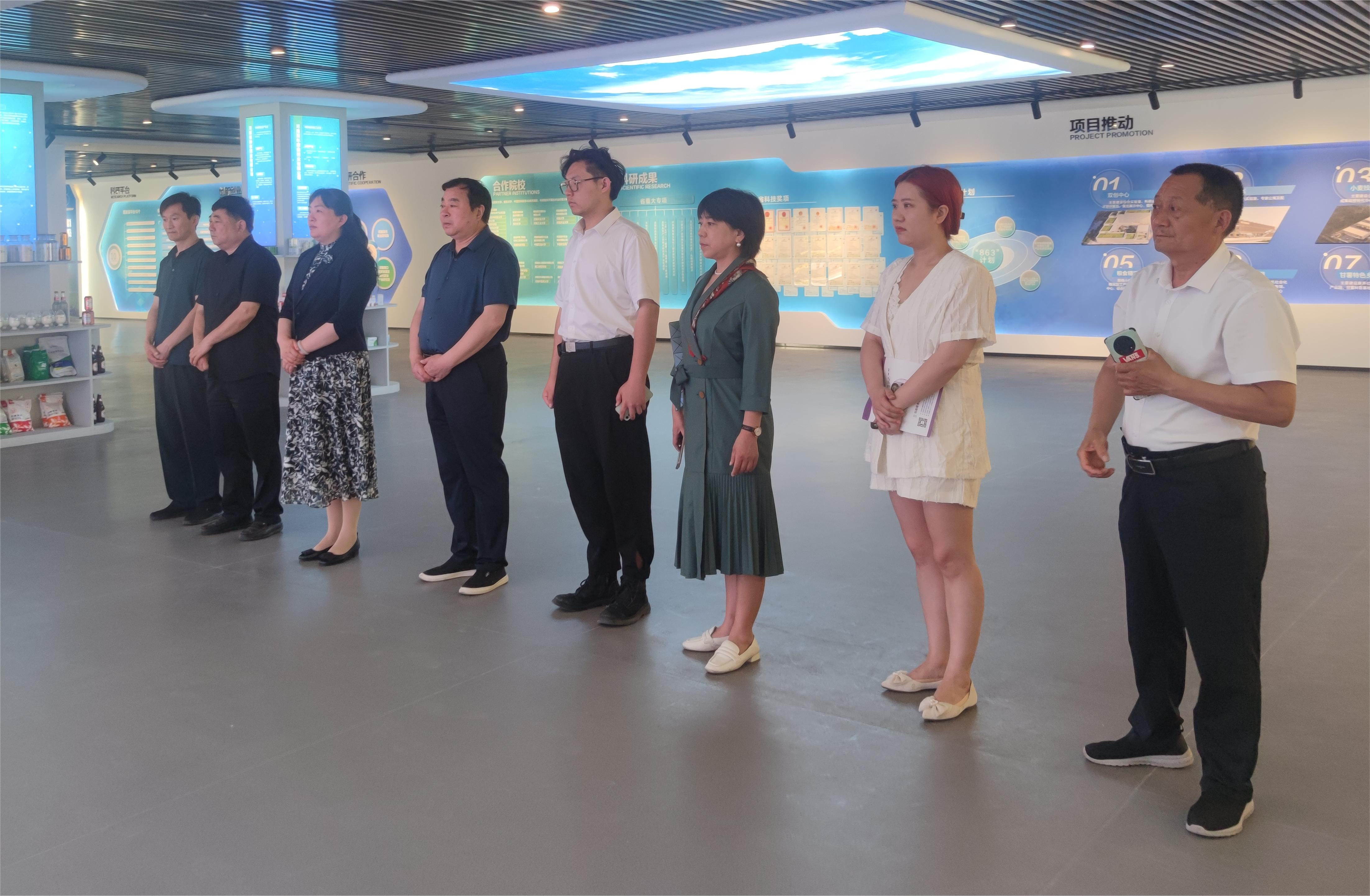 图片6