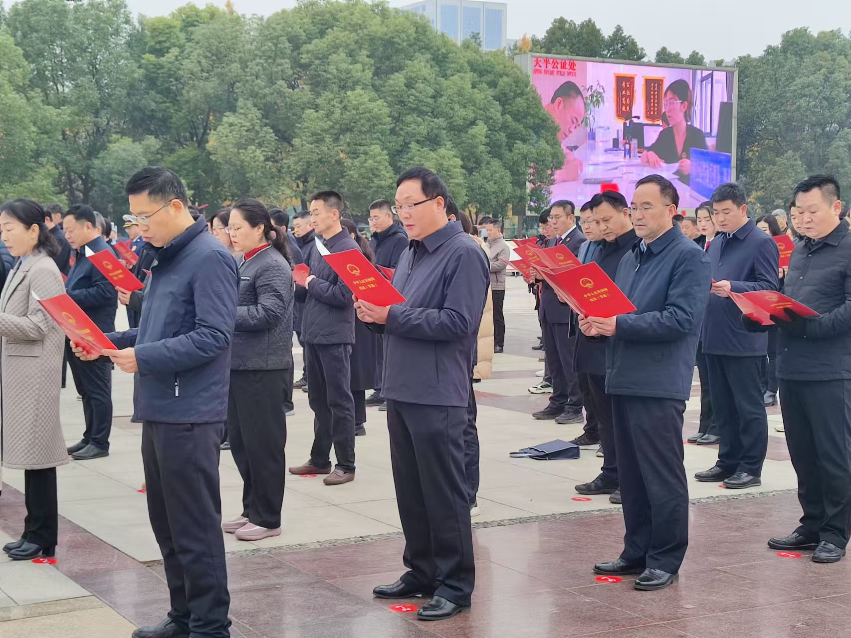 图片1