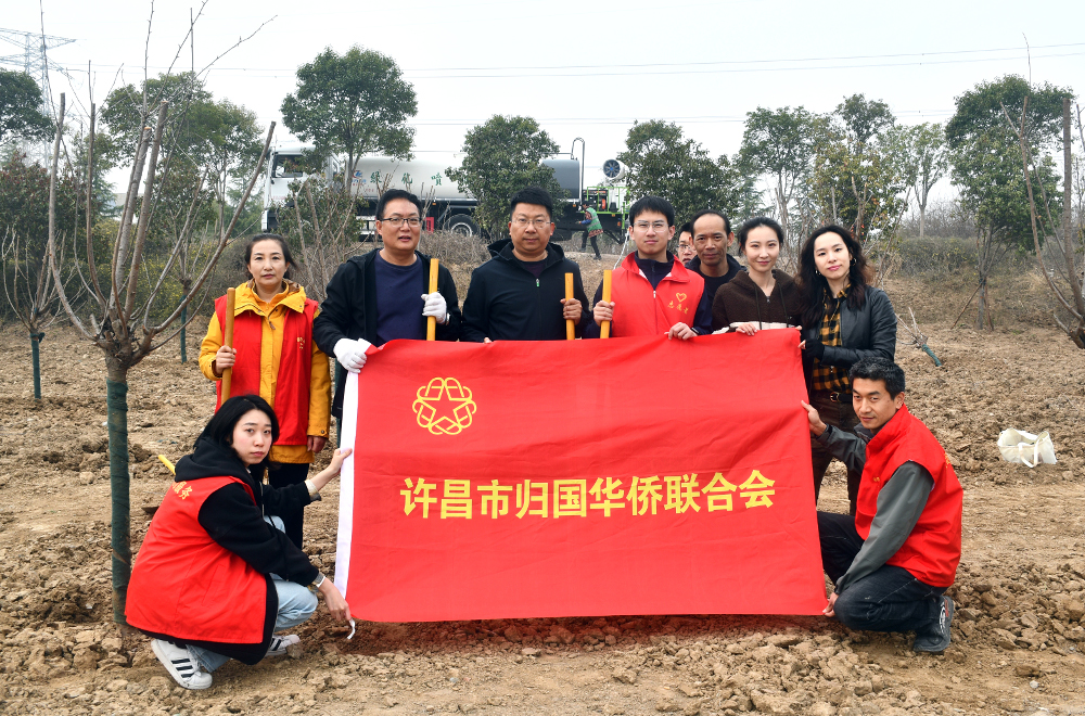 图片4