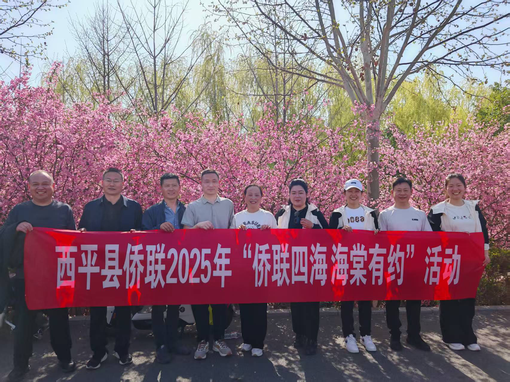 图片7