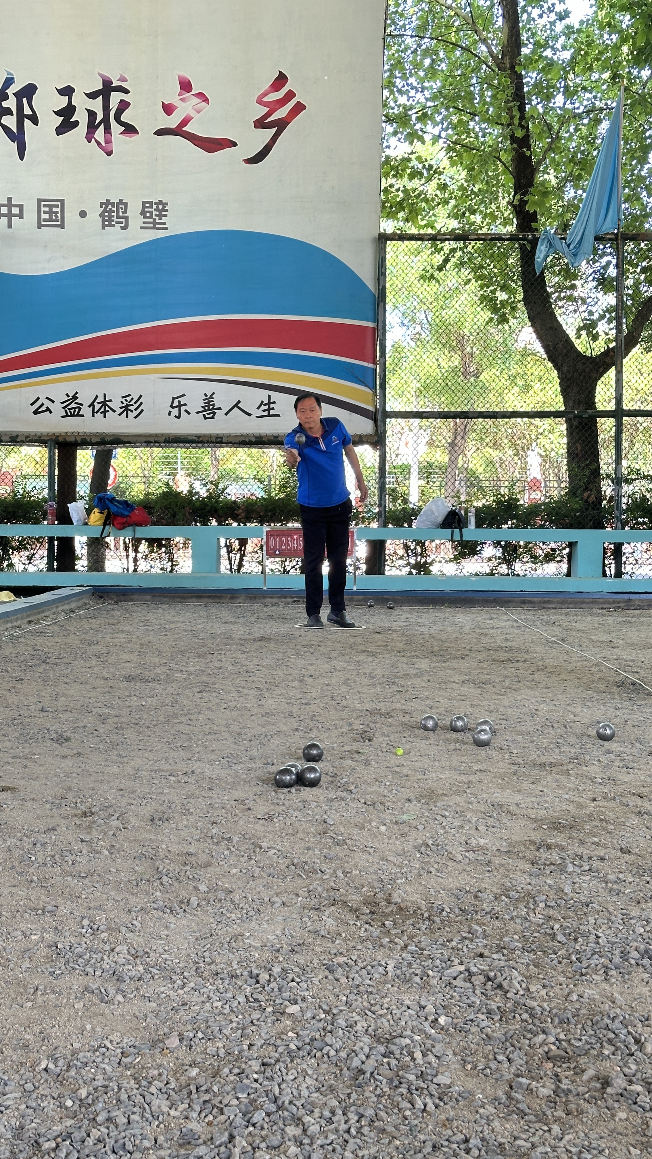 图五