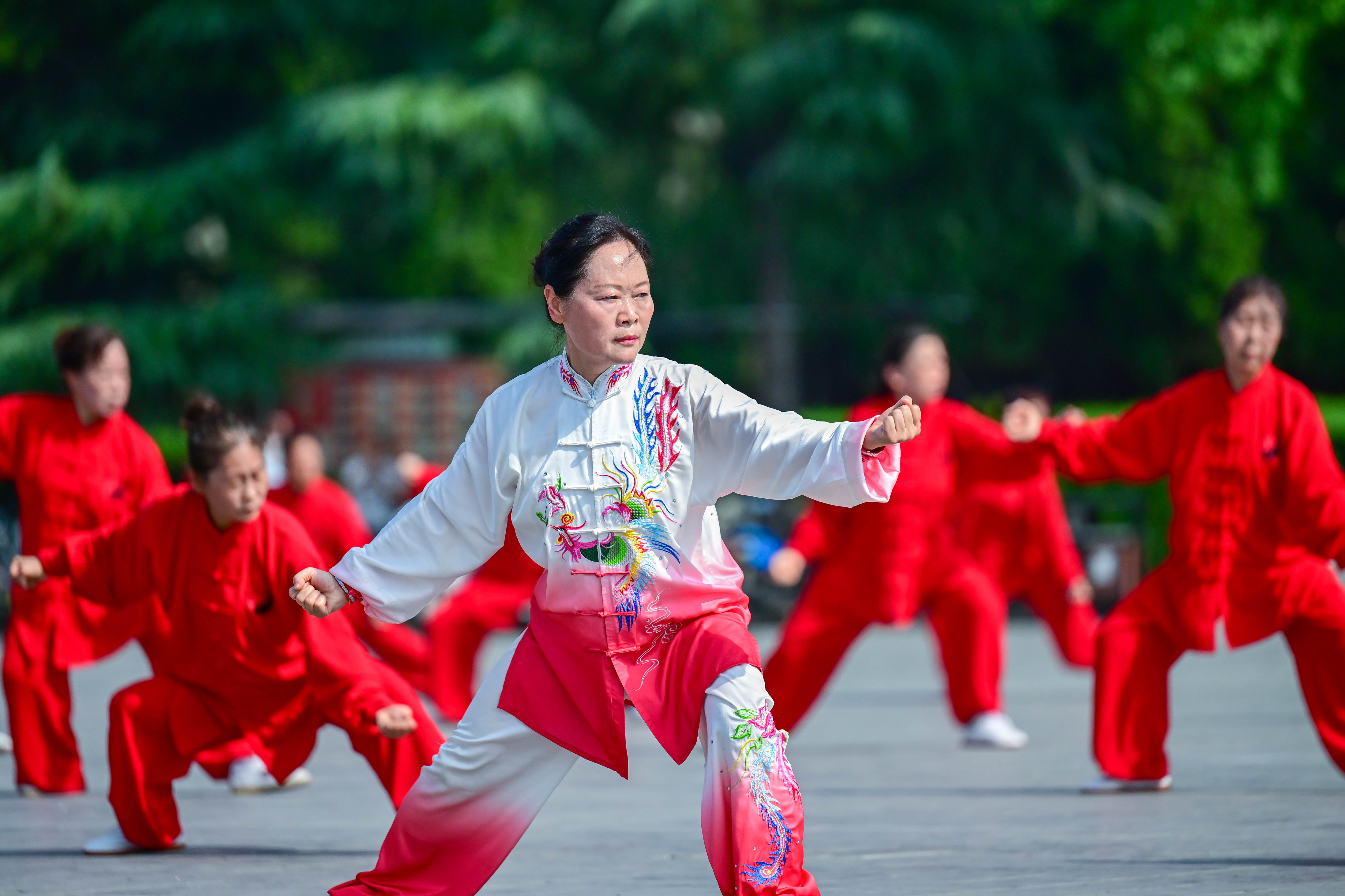 7、陈式太极拳