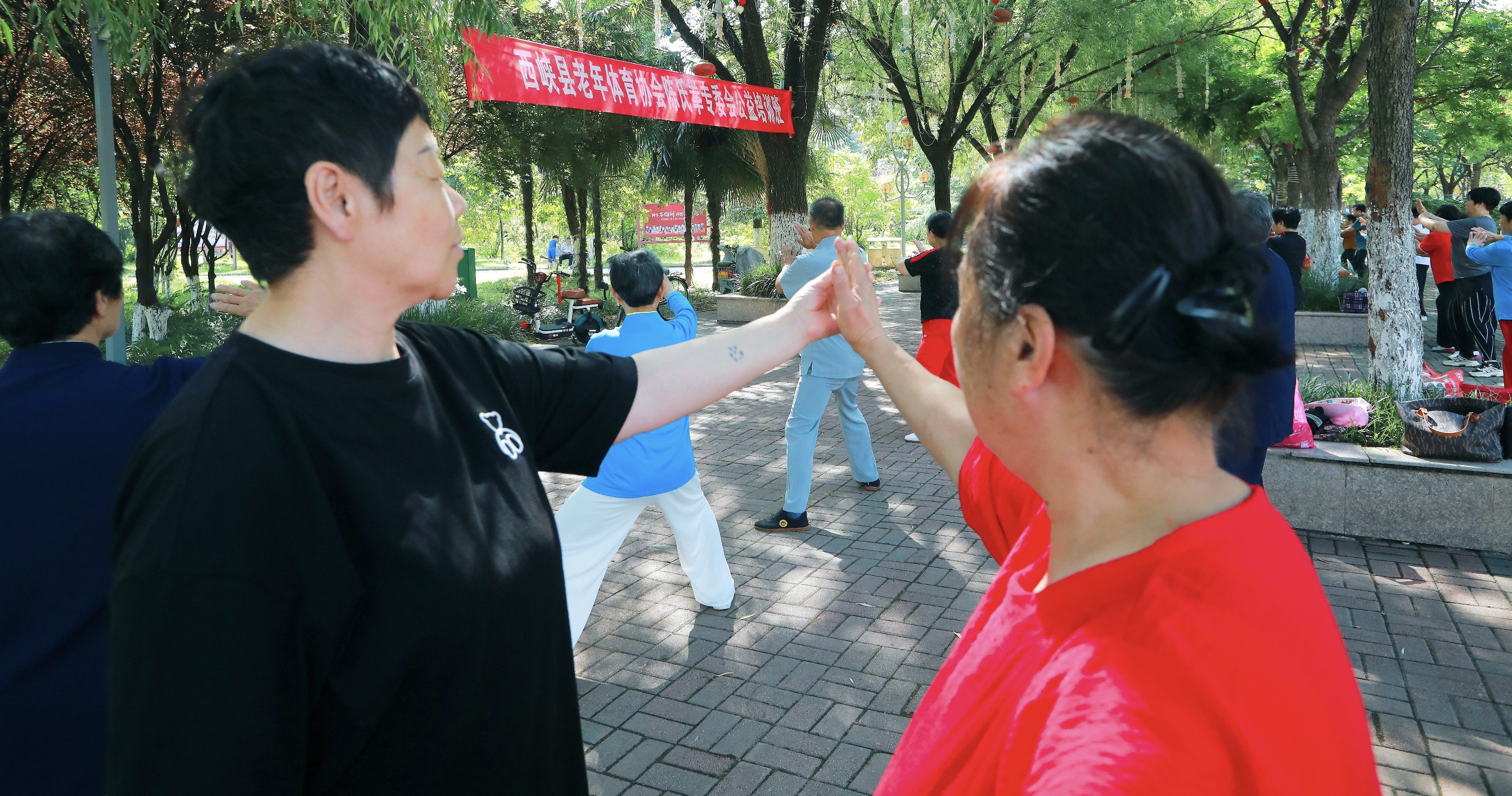 微信图片_20240617103146