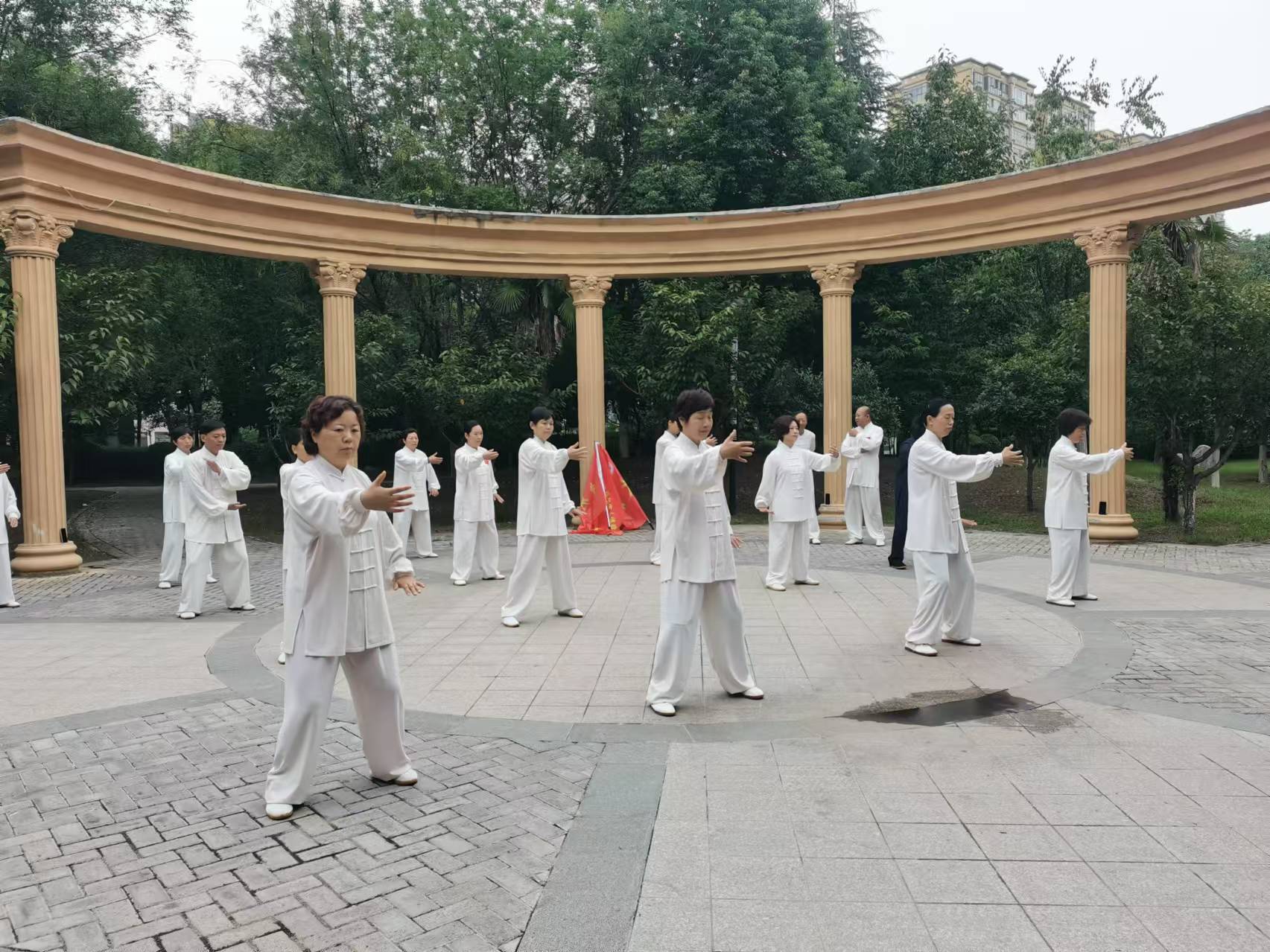 民权县太极拳和健身气功展演交流活动图片2