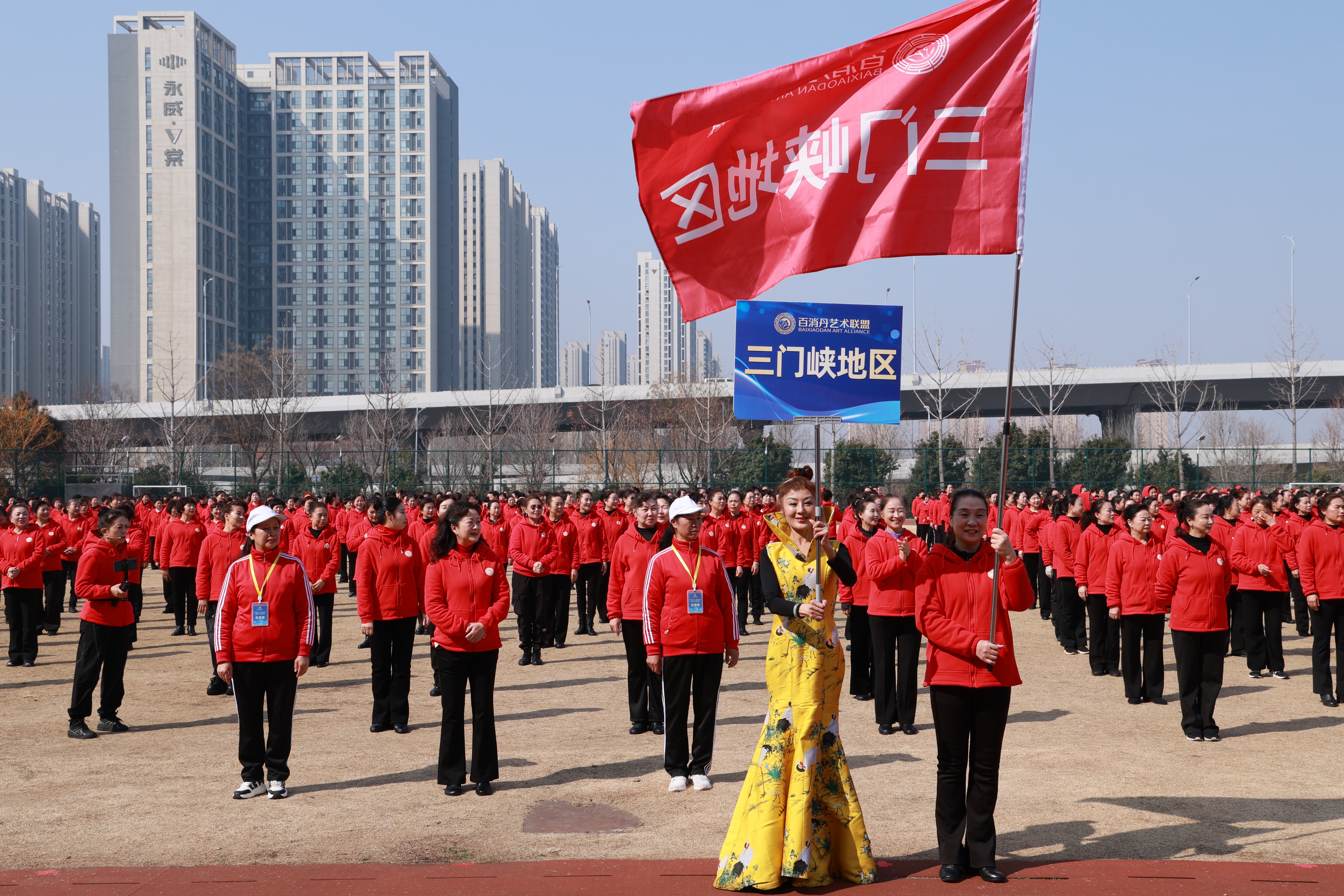 图片3