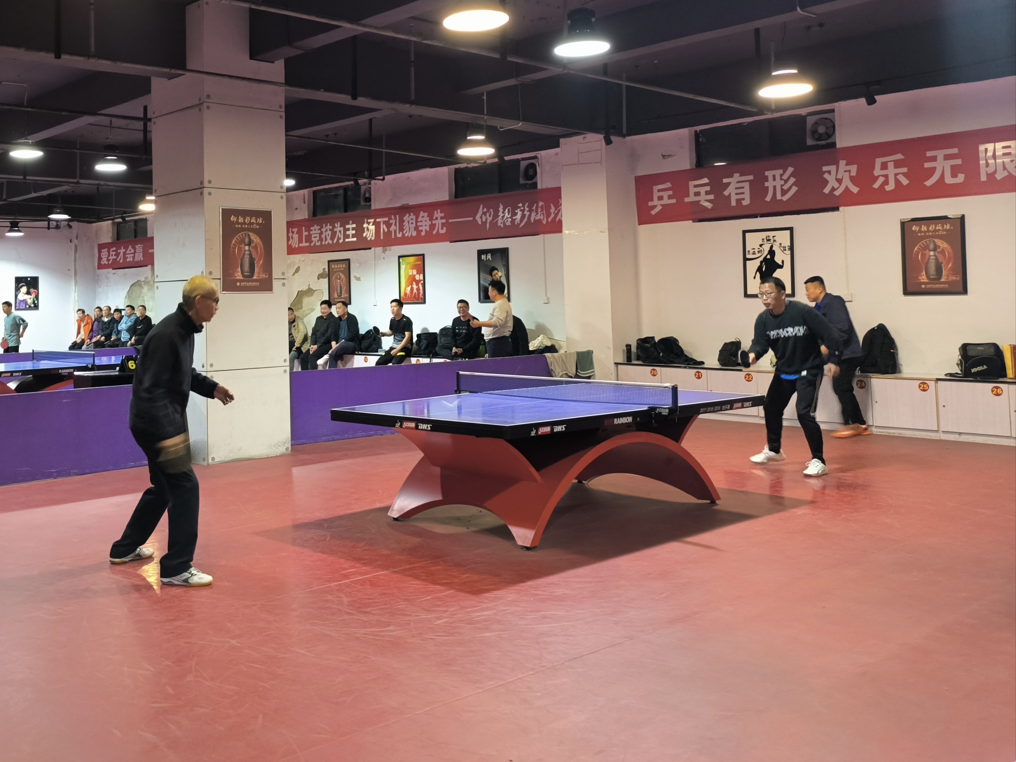 常青组2