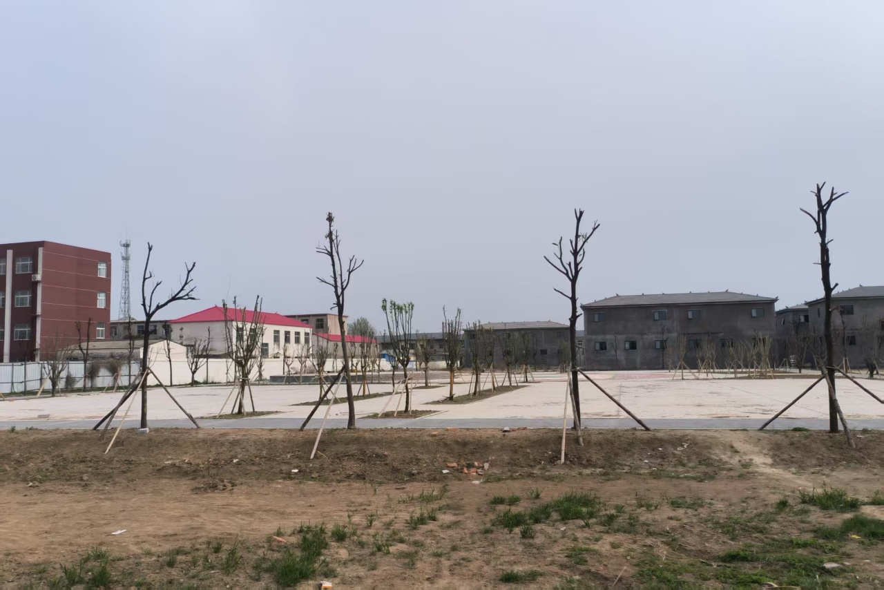 微信图片_20250401160938