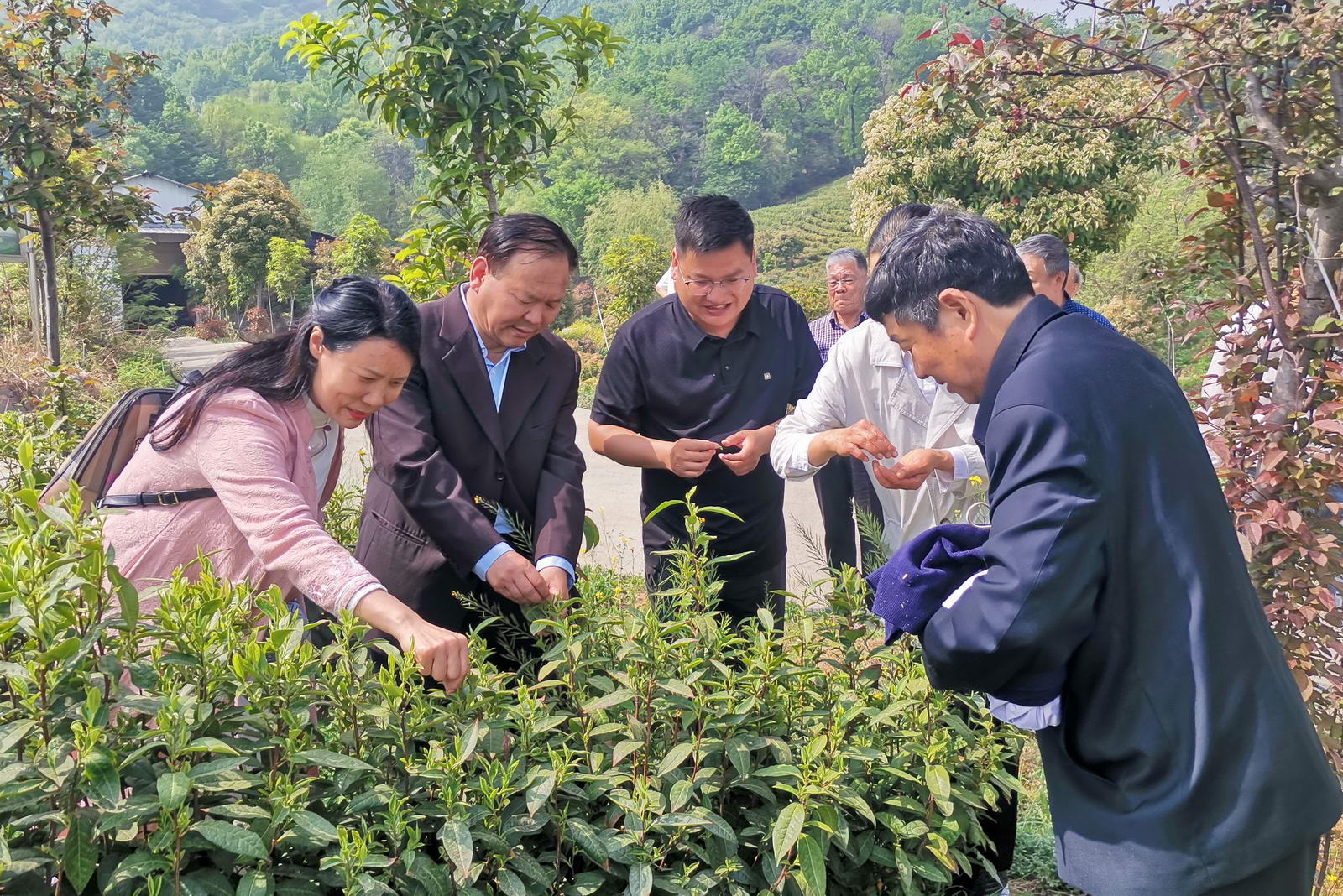 微信图片_20250411085020